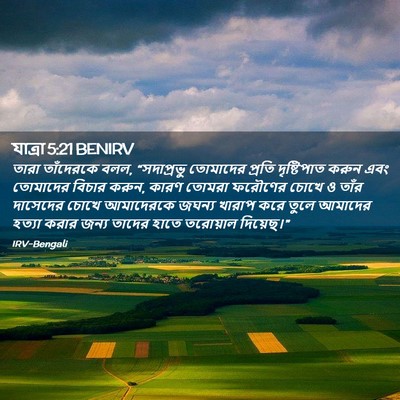 Picture 02 - যাত্ৰা 5:21 BENIRV - তারা তাঁদেরকে বলল, - Bible Verse Picture