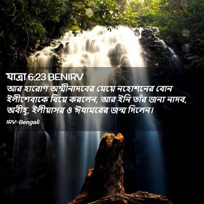 Picture 02 - যাত্ৰা 6:23 BENIRV - আর হারোণ - Bible Verse Picture