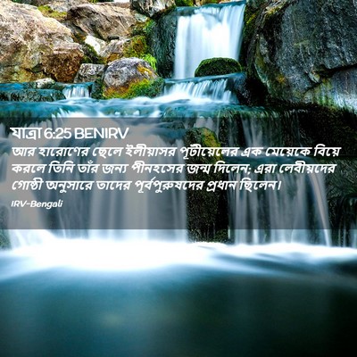 Picture 02 - যাত্ৰা 6:25 BENIRV - আর হারোণের ছেলে - Bible Verse Picture