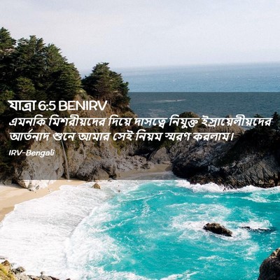 Picture 02 - যাত্ৰা 6:5 BENIRV - এমনকি মিশরীয়দের - Bible Verse Picture