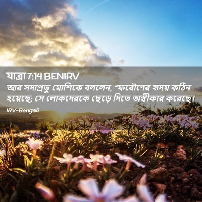 Picture 02 - যাত্ৰা 7:14 BENIRV - আর সদাপ্রভু - Bible Verse Picture