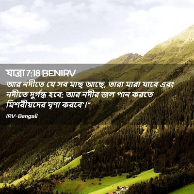 Picture 02 - যাত্ৰা 7:18 BENIRV - আর নদীতে যে সব মাছ - Bible Verse Picture