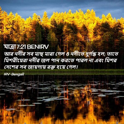 Picture 02 - যাত্ৰা 7:21 BENIRV - আর নদীর সব মাছ মারা - Bible Verse Picture