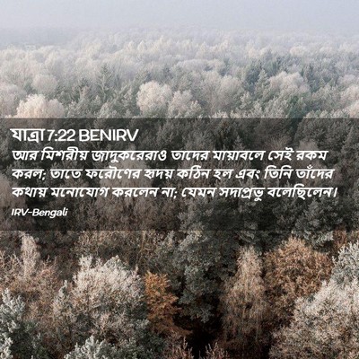 Picture 02 - যাত্ৰা 7:22 BENIRV - আর মিশরীয় - Bible Verse Picture