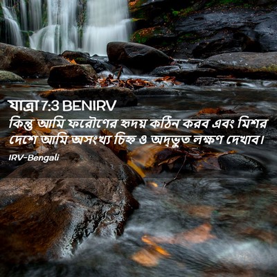 Picture 02 - যাত্ৰা 7:3 BENIRV - কিন্তু আমি ফরৌণের - Bible Verse Picture