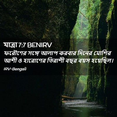 Picture 02 - যাত্ৰা 7:7 BENIRV - ফরৌণের সঙ্গে আলাপ - Bible Verse Picture