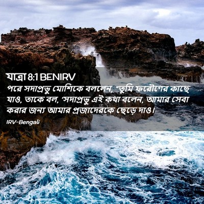 Picture 02 - যাত্ৰা 8:1 BENIRV - পরে সদাপ্রভু - Bible Verse Picture