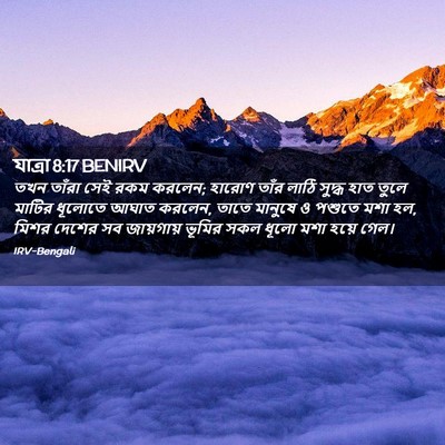 Picture 02 - যাত্ৰা 8:17 BENIRV - তখন তাঁরা সেই রকম - Bible Verse Picture