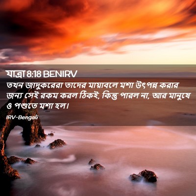 Picture 02 - যাত্ৰা 8:18 BENIRV - তখন জাদুকরেরা - Bible Verse Picture