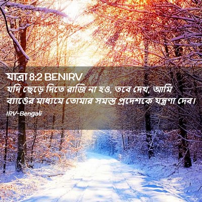 Picture 02 - যাত্ৰা 8:2 BENIRV - যদি ছেড়ে দিতে - Bible Verse Picture
