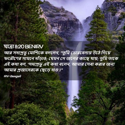Picture 02 - যাত্ৰা 8:20 BENIRV - আর সদাপ্রভু - Bible Verse Picture