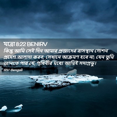 Picture 02 - যাত্ৰা 8:22 BENIRV - কিন্তু আমি সেই দিন - Bible Verse Picture