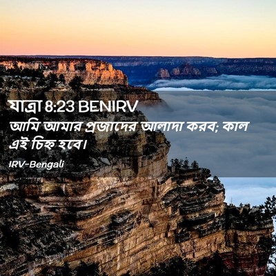 Picture 02 - যাত্ৰা 8:23 BENIRV - আমি আমার প্রজাদের - Bible Verse Picture