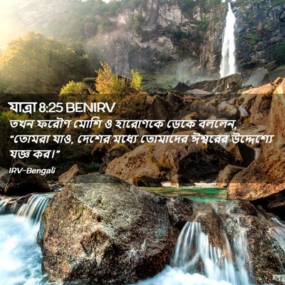 Picture 02 - যাত্ৰা 8:25 BENIRV - তখন ফরৌণ মোশি ও - Bible Verse Picture