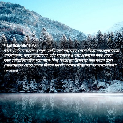 Picture 02 - যাত্ৰা 8:29 BENIRV - তখন মোশি বললেন, - Bible Verse Picture