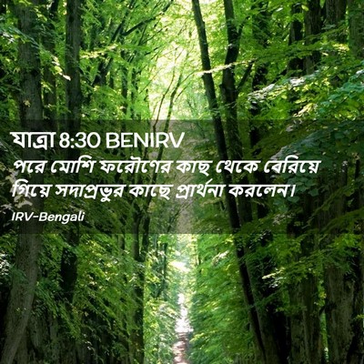 Picture 02 - যাত্ৰা 8:30 BENIRV - পরে মোশি ফরৌণের - Bible Verse Picture