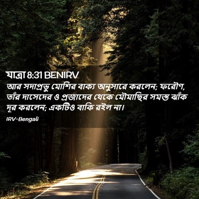 Picture 02 - যাত্ৰা 8:31 BENIRV - আর সদাপ্রভু মোশির - Bible Verse Picture