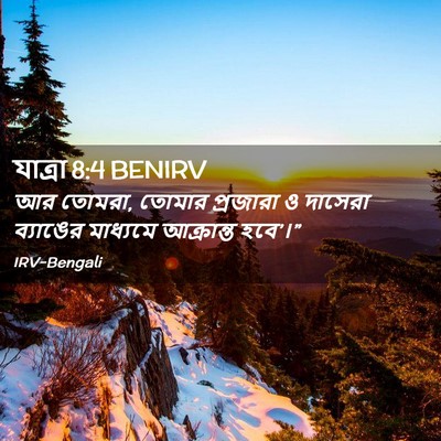 Picture 02 - যাত্ৰা 8:4 BENIRV - আর তোমরা, তোমার - Bible Verse Picture