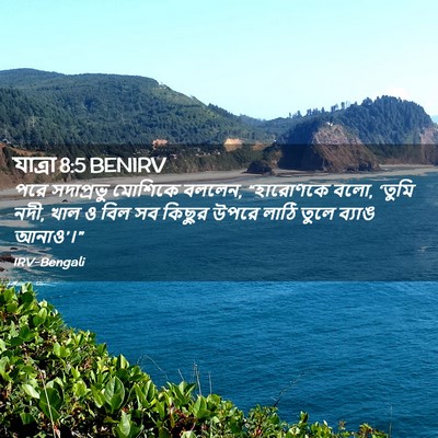 Picture 02 - যাত্ৰা 8:5 BENIRV - পরে সদাপ্রভু - Bible Verse Picture