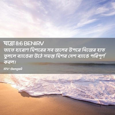 Picture 02 - যাত্ৰা 8:6 BENIRV - তাতে হারোণ মিশরের - Bible Verse Picture