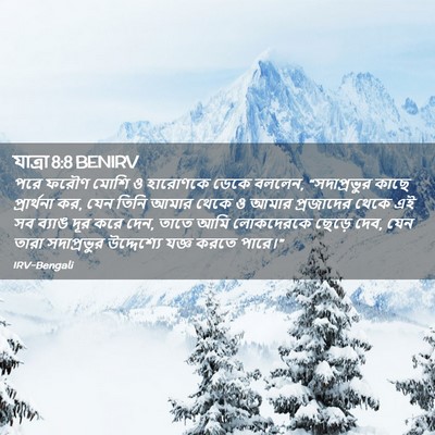 Picture 02 - যাত্ৰা 8:8 BENIRV - পরে ফরৌণ মোশি ও - Bible Verse Picture