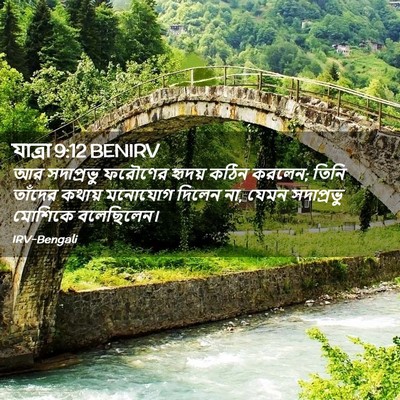 Picture 02 - যাত্ৰা 9:12 BENIRV - আর সদাপ্রভু - Bible Verse Picture
