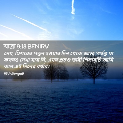 Picture 02 - যাত্ৰা 9:18 BENIRV - দেখ, মিশরের পত্তন - Bible Verse Picture