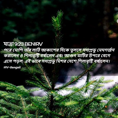 Picture 02 - যাত্ৰা 9:23 BENIRV - পরে মোশি তাঁর লাঠি - Bible Verse Picture
