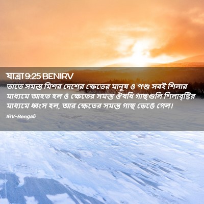 Picture 02 - যাত্ৰা 9:25 BENIRV - তাতে সমস্ত মিশর - Bible Verse Picture