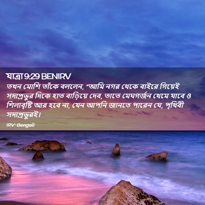 Picture 02 - যাত্ৰা 9:29 BENIRV - তখন মোশি তাঁকে - Bible Verse Picture