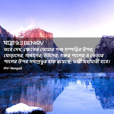 Picture 02 - যাত্ৰা 9:3 BENIRV - তবে দেখ, ক্ষেতের - Bible Verse Picture