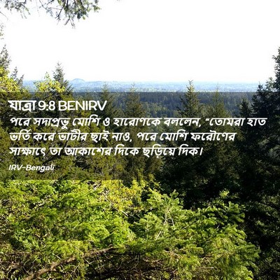Picture 02 - যাত্ৰা 9:8 BENIRV - পরে সদাপ্রভু মোশি - Bible Verse Picture
