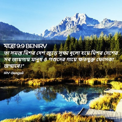 Picture 02 - যাত্ৰা 9:9 BENIRV - তা সমস্ত মিশর দেশ - Bible Verse Picture