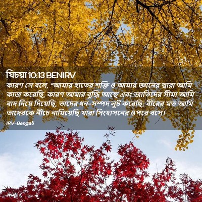 Picture 02 - যিচয়া 10:13 BENIRV - কারণ সে বলে, “আমার - Bible Verse Picture
