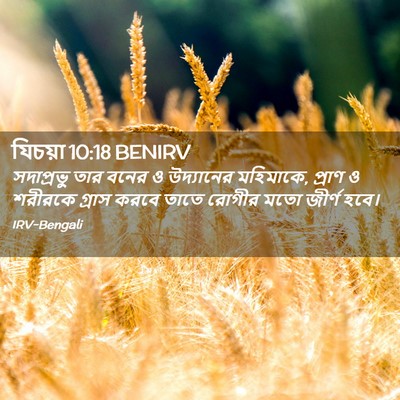 Picture 02 - যিচয়া 10:18 BENIRV - সদাপ্রভু তার বনের - Bible Verse Picture