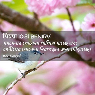 Picture 02 - যিচয়া 10:31 BENIRV - মদমেনার লোকেরা - Bible Verse Picture