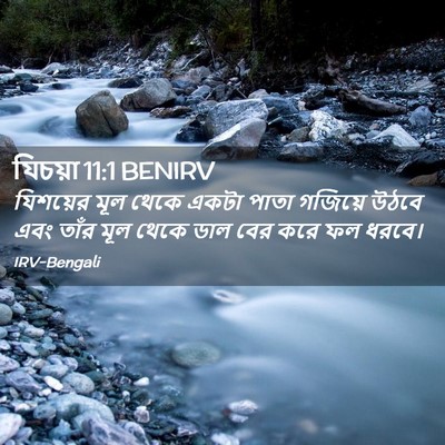 Picture 02 - যিচয়া 11:1 BENIRV - যিশয়ের মূল থেকে - Bible Verse Picture