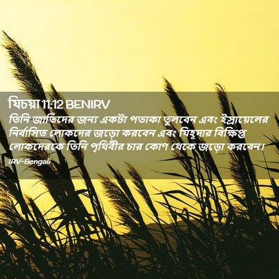Picture 02 - যিচয়া 11:12 BENIRV - তিনি জাতিদের জন্য - Bible Verse Picture