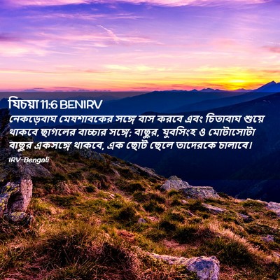 Picture 02 - যিচয়া 11:6 BENIRV - নেকড়েবাঘ - Bible Verse Picture