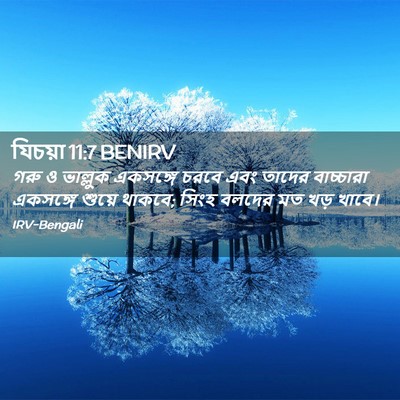Picture 02 - যিচয়া 11:7 BENIRV - গরু ও ভাল্লুক - Bible Verse Picture