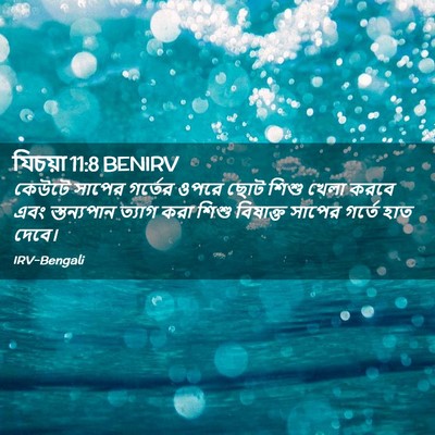 Picture 02 - যিচয়া 11:8 BENIRV - কেউটে সাপের - Bible Verse Picture