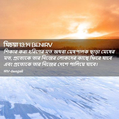 Picture 02 - যিচয়া 13:14 BENIRV - শিকার করা হরিণের - Bible Verse Picture