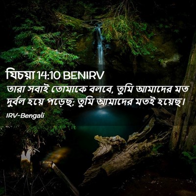 Picture 02 - যিচয়া 14:10 BENIRV - তারা সবাই তোমাকে - Bible Verse Picture