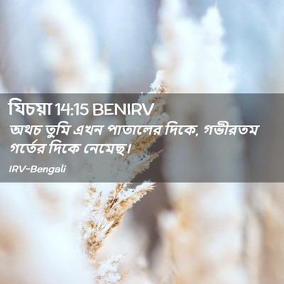 Picture 02 - যিচয়া 14:15 BENIRV - অথচ তুমি এখন - Bible Verse Picture