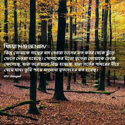 Picture 02 - যিচয়া 14:19 BENIRV - কিন্তু তোমাকে - Bible Verse Picture