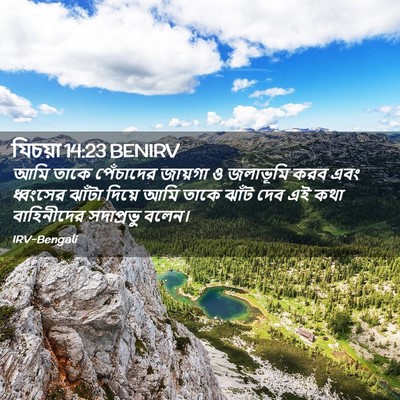 Picture 02 - যিচয়া 14:23 BENIRV - আমি তাকে পেঁচাদের - Bible Verse Picture
