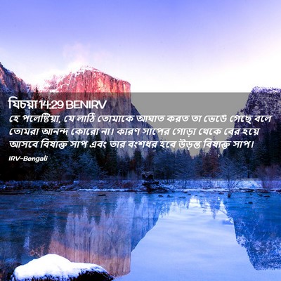 Picture 02 - যিচয়া 14:29 BENIRV - হে পলেষ্টিয়া, যে - Bible Verse Picture
