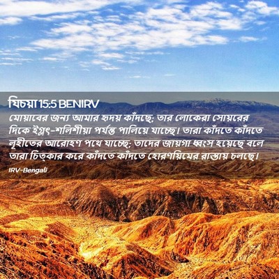 Picture 02 - যিচয়া 15:5 BENIRV - মোয়াবের জন্য - Bible Verse Picture