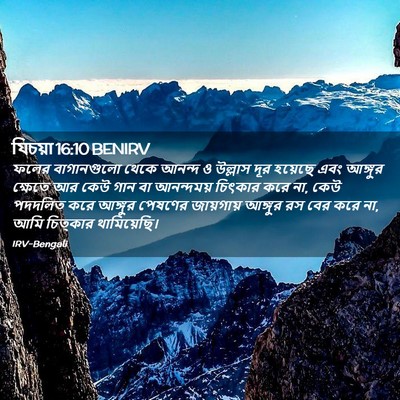 Picture 02 - যিচয়া 16:10 BENIRV - ফলের বাগানগুলো - Bible Verse Picture