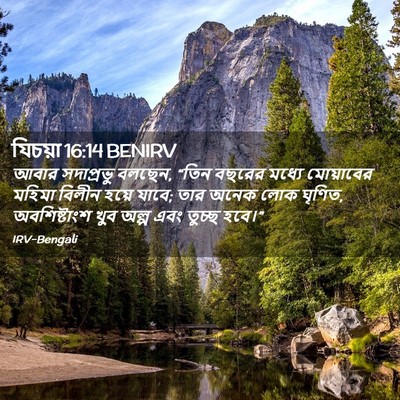 Picture 02 - যিচয়া 16:14 BENIRV - আবার সদাপ্রভু - Bible Verse Picture